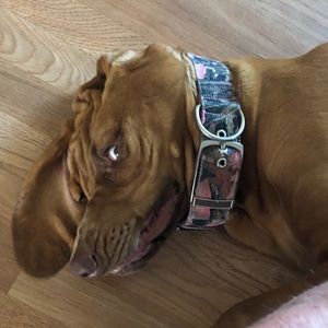 Meet your Posher, Dave